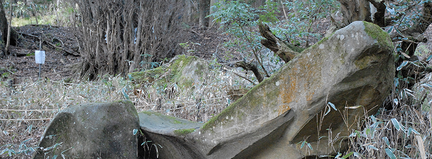 貴船山で発見された船形の自然石